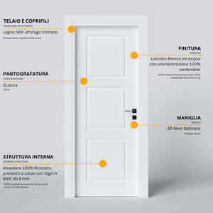 Pantographed Hinged Door with 3 Clews