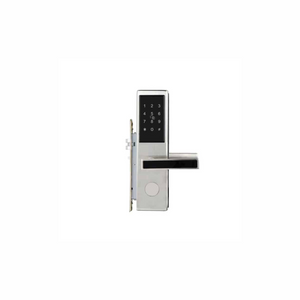 Electronic Hotel Lock with Keypad and Card