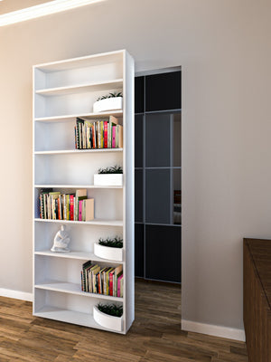 Sliding Bookcase Door